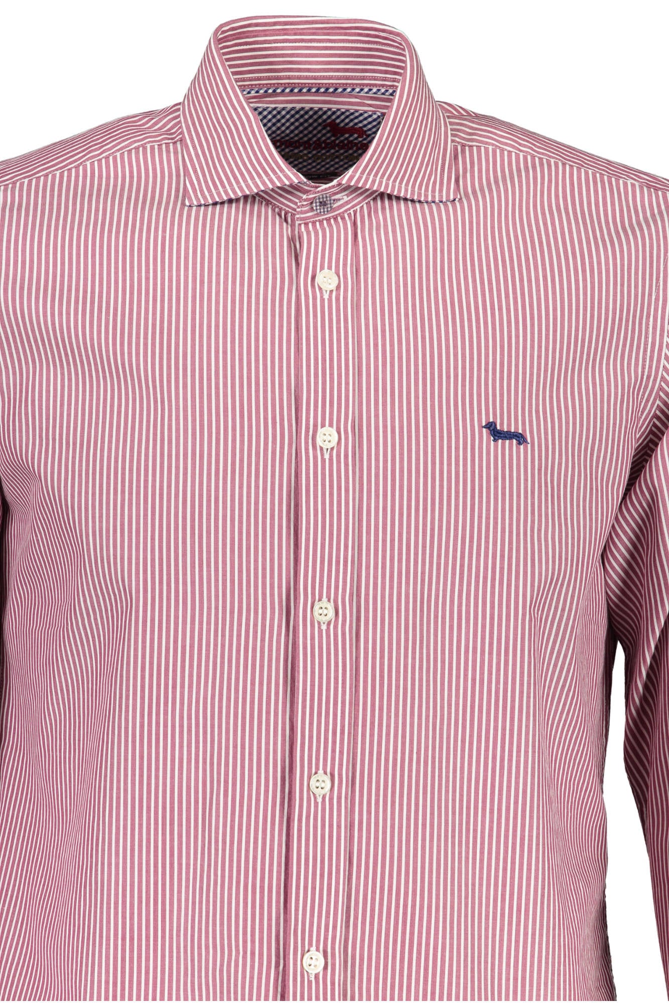 HARMONT & BLAINE CAMICIA MANICHE LUNGHE UOMO VIOLA